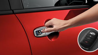 Electrostatic Door