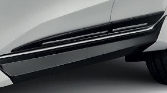 Side Door Moulding